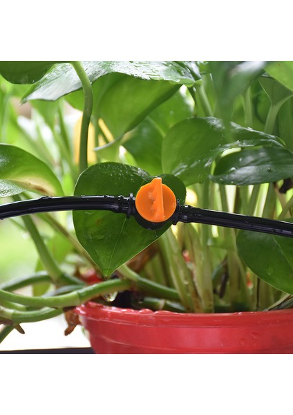 10 Adet Dikenli Mini Vana Kaplin Konnektörleri 4/7mm Hortum Sera Bahçe Su Sulama Borusu Adaptörü Eatop (Yurt Dışından)