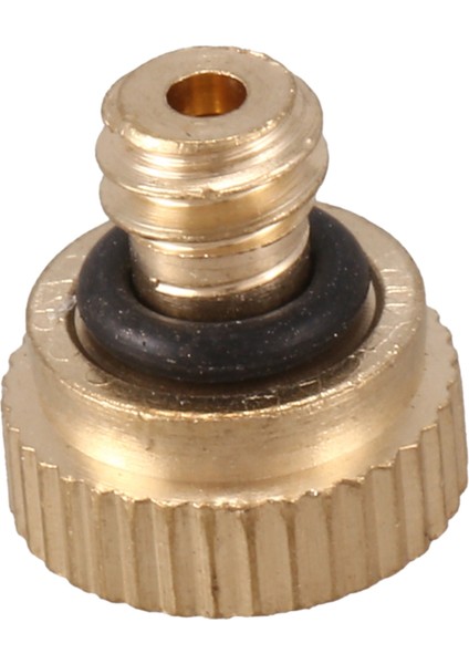 20 Adet Sis Buhar Nozulu, Düşük Basınçlı Sis Soğutma Memesi, Buğulanma Nozulları Orifis 0.1mm (Yurt Dışından) modelleri