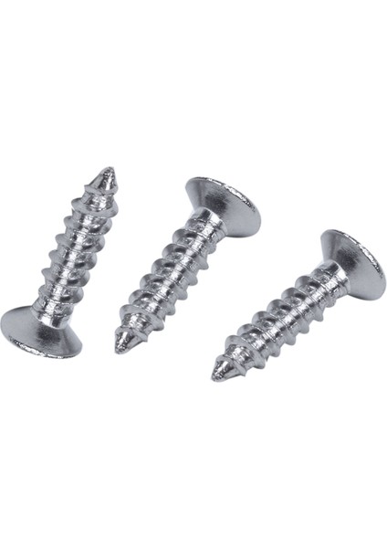 Quanbu Paslanmaz Çelik Düz Başlı Phillips Başlı Vida 12MM x 3mm 60 Adet (Yurt Dışından) fiyatları