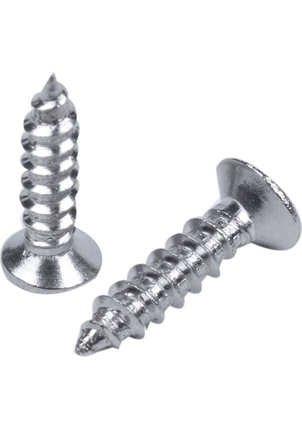 Quanbu Paslanmaz Çelik Düz Başlı Phillips Başlı Vida 12MM x 3mm 60 Adet (Yurt Dışından) modelleri