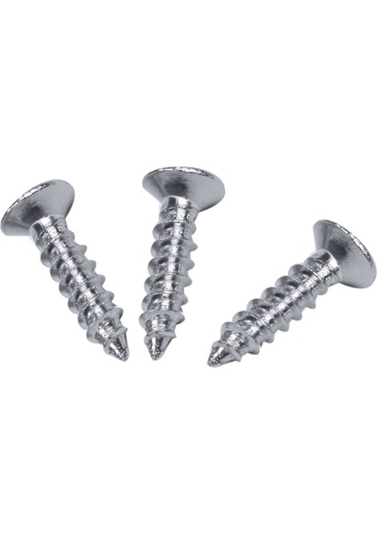 Quanbu Paslanmaz Çelik Düz Başlı Phillips Başlı Vida 12MM x 3mm 60 Adet (Yurt Dışından) fırsatları