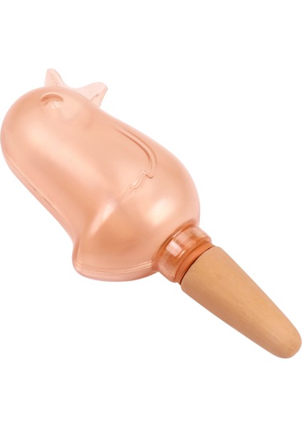 Kuş Kendiliğinden Sulayan Küreler-1*kendinden Sulayan Küreler-Pembe (Yurt Dışından)