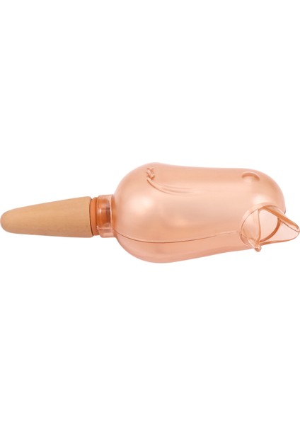 Kuş Kendiliğinden Sulayan Küreler-1*kendinden Sulayan Küreler-Pembe (Yurt Dışından)