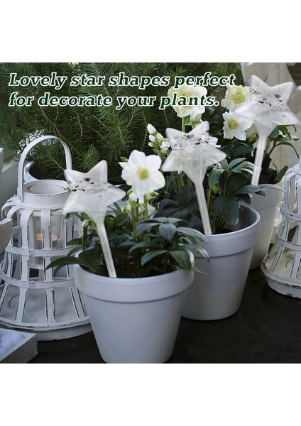 Parça Pvc Bitki Sulama Küreleri Bitki Kendiliğinden Sulama Küreleri Yıldız Şekli Kendiliğinden Sulama Ekici Ekleme Şeffaf Pvc Plastik Kendiliğinden Sulama Küreleri (Yurt Dışından) fırsatları