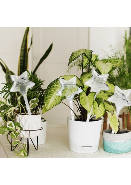 Parça Pvc Bitki Sulama Küreleri Bitki Kendiliğinden Sulama Küreleri Yıldız Şekli Kendiliğinden Sulama Ekici Ekleme Şeffaf Pvc Plastik Kendiliğinden Sulama Küreleri (Yurt Dışından) indirimleri