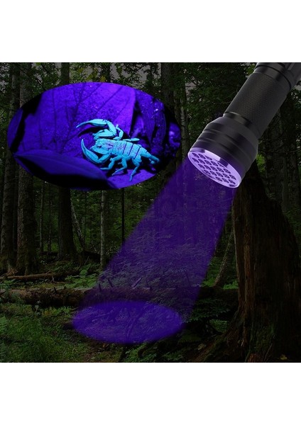 El Tipi Ultraviyole 21 LED El Feneri - Halı, Kilim ve Çarşaflardaki Evcil Hayvan Lekelerini/kokularını Bulun, Uv El Feneri, Siyah Işık El Feneri, Siyah Işık El Fenerleri (Yurt Dışından) fırsatları
