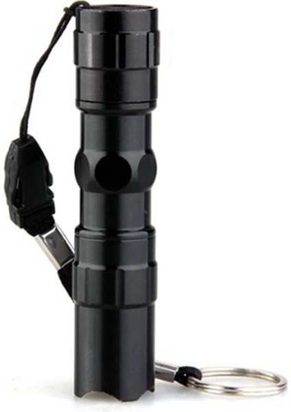 2x Su Geçirmez 3 W LED 200LM Süper Parlak Mini El Feneri Lamba Torch Kamp Balıkçılık (Yurt Dışından)