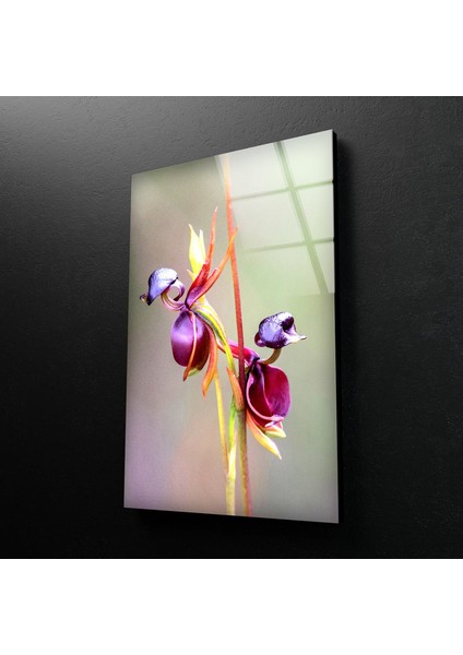 Mor Orkide Temperli Cam Duvar Tablosu