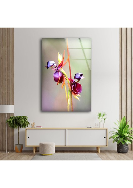 Mor Orkide Temperli Cam Duvar Tablosu fırsatları