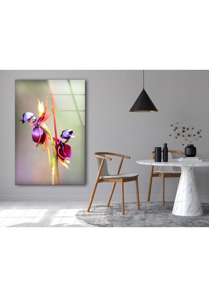 Mor Orkide Temperli Cam Duvar Tablosu indirimleri