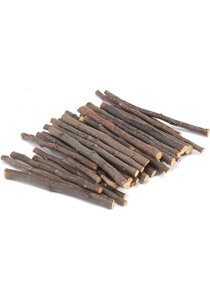 100G Tarzı 100G Çiğneme Çubuğu Elma Ağacı Dalı Küçük Pet Llas Hollanda Domuz Hamster Bite Azı Dişleri Temiz Dişler Doğal Ahşap Oyuncaklar (Yurt Dışından) fiyatları