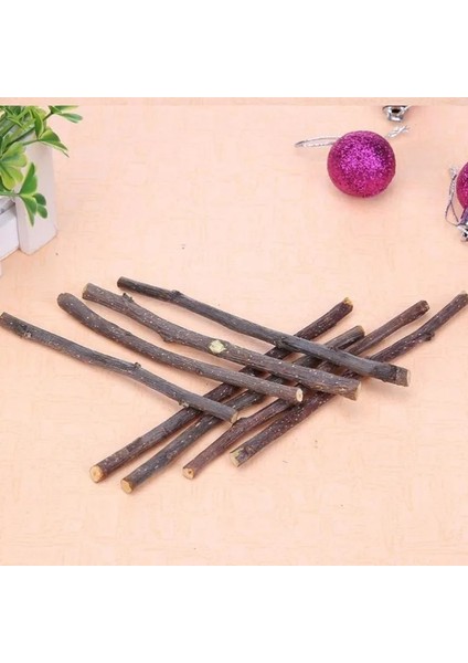 100G Tarzı 100G Çiğneme Çubuğu Elma Ağacı Dalı Küçük Pet Llas Hollanda Domuz Hamster Bite Azı Dişleri Temiz Dişler Doğal Ahşap Oyuncaklar (Yurt Dışından) indirimleri