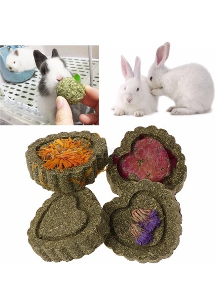Timoteos Tarzı Alışveriş Merkezi Evcil Hayvanlar Hamster Taşlama Diş Kek Kurabiye Hayvanlar Tavşan Lla Guniea Domuz Molar Chew Oyun Oyuncak 4 Çeşit Dro (Yurt Dışından) fiyatları