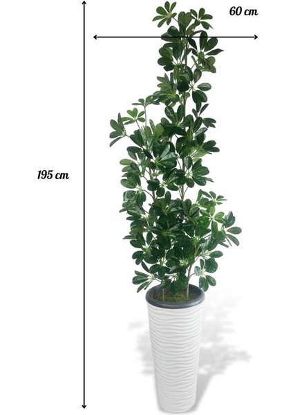 Yapay Ağaç Şeflera 3 Gövdeli 195X60CM Beyaz Kumsal Vazoda Salon Çiçeği fiyatları