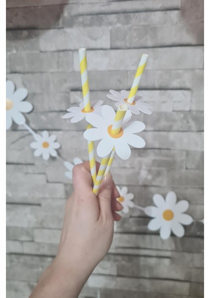 Papatya Tema Pipet Süsleri 10LU Lüks Pipet Paketi Papatya Demeti fiyatları