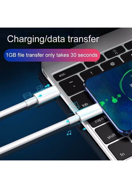 100W Pd Usb-C USB Tip C Yıldırım Kablosu Hızlı Şarj Cihazı Apple Samsung Huawei P30 Xiaomi Veri Hattı Adaptörü Telefon Aksesuarları (Yurt Dışından) indirimleri