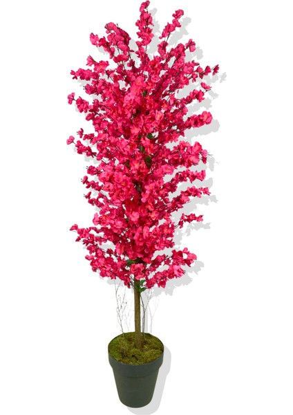 Fuşya Bahar Dalı 160 cm Üretim Saksısı modelleri