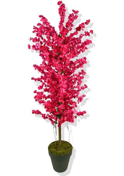 Fuşya Bahar Dalı 160 cm Üretim Saksısı fırsatları