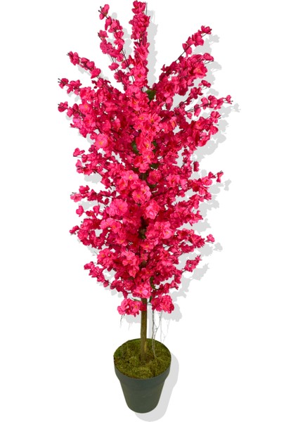 Fuşya Bahar Dalı 160 cm Üretim Saksısı indirimleri