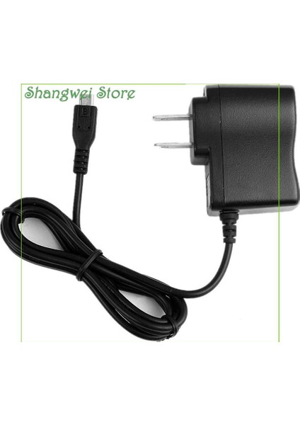 Blackweb Için Güç Adaptörü Şarj Cihazı BWA17AA002 Taşınabilir Hoparlör Duvar Dc Güç Şarj Kablosu Kablosu Şebeke Fişi, 5 Feet, LED Göstergeli (Yurt Dışından) fırsatları