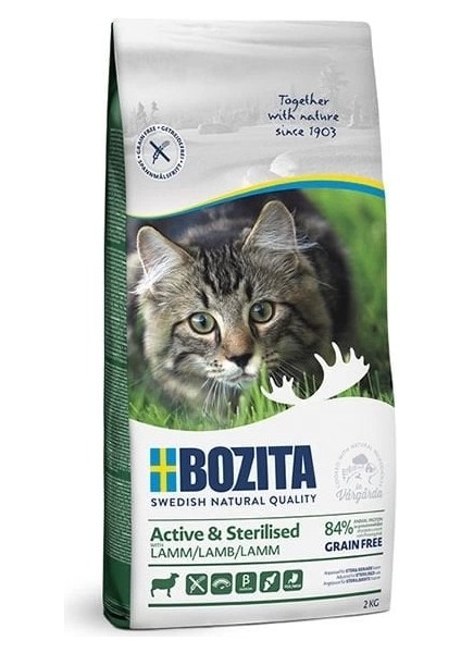 Outdoor Active Kuzu Etli Yetişkin Kısırlaştırılmış Kedi Maması 2 kg