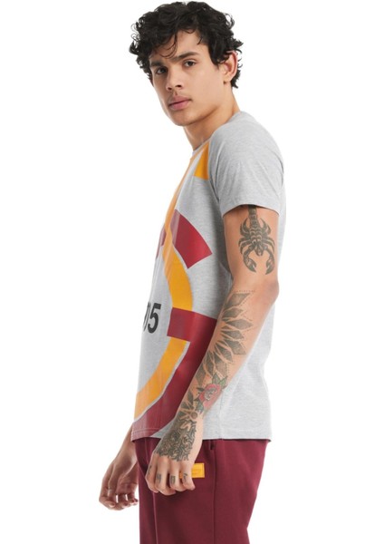 Lisanslı Büyük Logolu Gri T-Shirt fırsatları