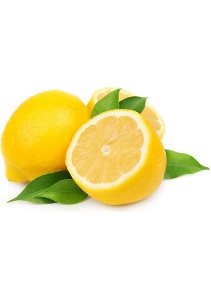 Yediveren Limon Fidanı 2 Adet 3 Yaş Tüplü ve Aşılı
