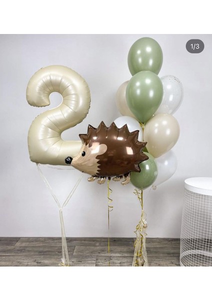 Krem 2 Yaş Kirpi Balon Seti