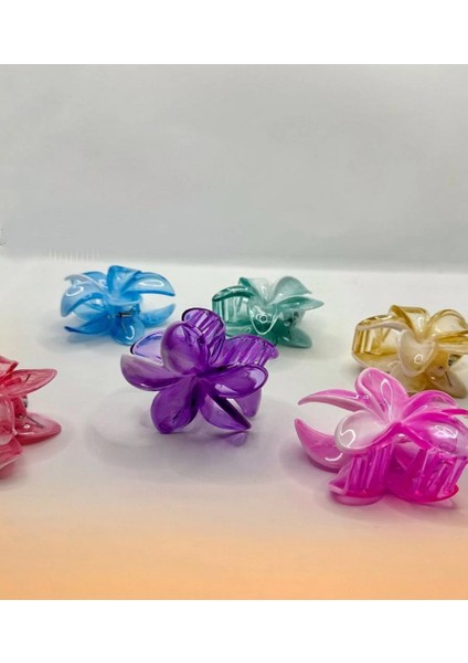 6 Lı Lotus Mandal Saç Tokası Parlak Şefaf Renkler fiyatları