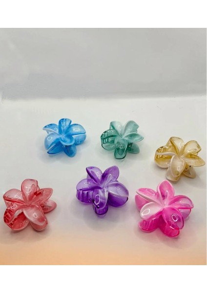 6 Lı Lotus Mandal Saç Tokası Parlak Şefaf Renkler modelleri