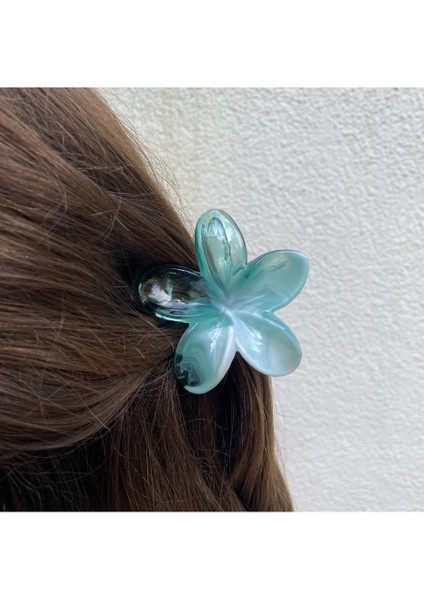 6 Lı Lotus Mandal Saç Tokası Parlak Şefaf Renkler fırsatları