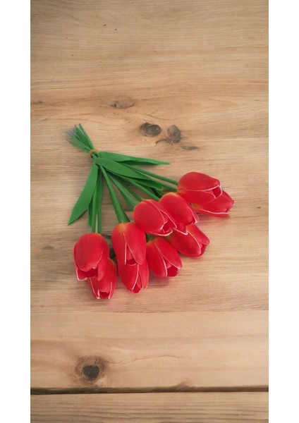 Yapay Islak Lale Kırmızı 10 'lu (Yeşil ve Sarı Desen ) modelleri