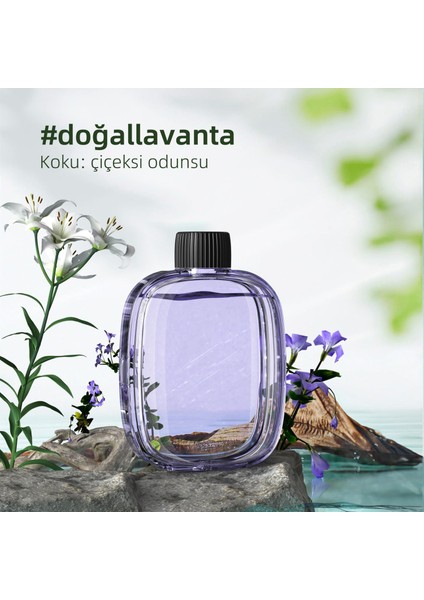 Mio Smell 2x Aromaterapi Yedek Oda Kokusu - Lavender Kokusu (1 Adet)