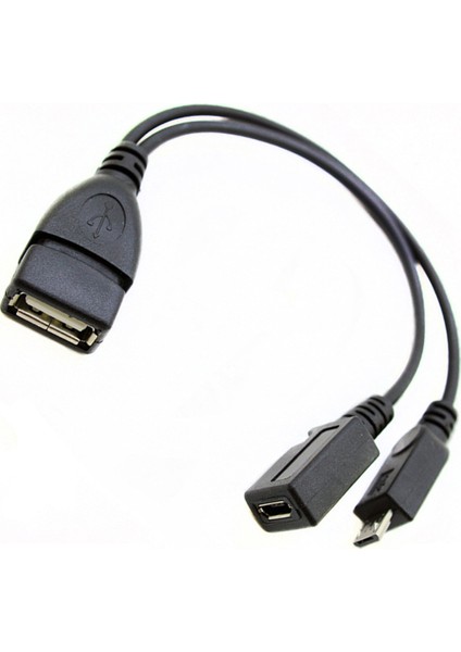 10 Adet 2 In 1 Otg Mikro-Usb Host Y Splitter USB Adaptörü Mini 5 Pin Erkek Dişi Kablo Akış Çubukları Vb (Yurt Dışından)