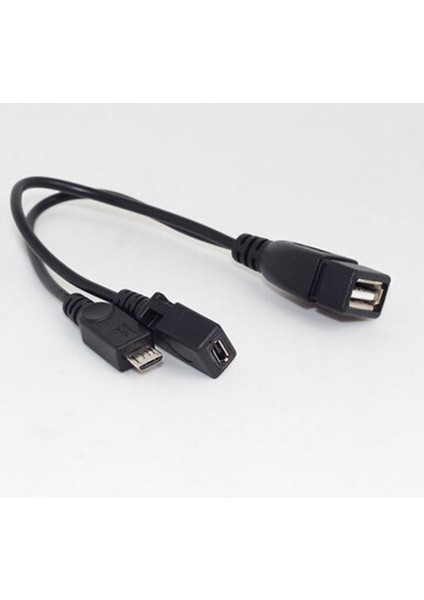 10 Adet 2 In 1 Otg Mikro-Usb Host Y Splitter USB Adaptörü Mini 5 Pin Erkek Dişi Kablo Akış Çubukları Vb (Yurt Dışından)