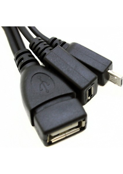 10 Adet 2 In 1 Otg Mikro-Usb Host Y Splitter USB Adaptörü Mini 5 Pin Erkek Dişi Kablo Akış Çubukları Vb (Yurt Dışından)