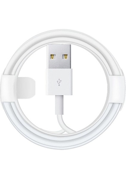 0.25M USB Şarj Veri Kablosu iPhone 6s 6 7 8 Artı x Xr Xs 11 Pro Max Se 5s 5c 5 iPad Mini Hava Hızlı Şarj Cihazı USB Kabloları (Yurt Dışından)