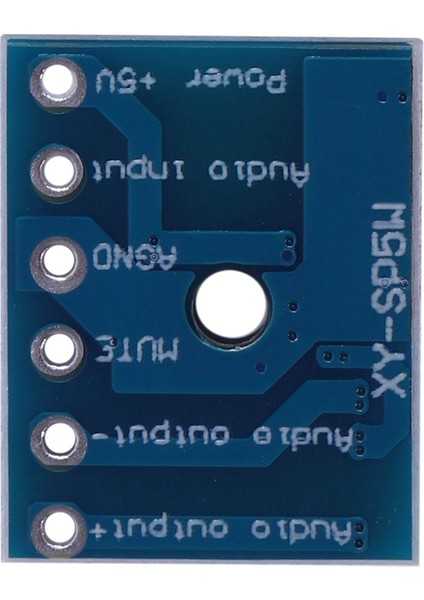 2x XY-SP5W 5128 Dijital Amplifikatör Kartı Sınıf D 5W Mono Ses Amplifikatör Modülü (Yurt Dışından) modelleri