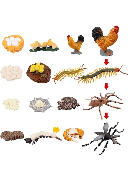 16PCS Çiftlik Hayvanları Figürler Tavuk Kırkayak Oyuncaklarının Yaşam Döngüsü (Yurt Dışından)