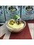 Adet Pokemon Anime Şeffaf Top Mew Snorlax Squirtle Charmander Lycanroc Gengar Aksiyon Bebek Oyuncak Figürleri (Yurt Dışından) 1