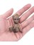 Guardians Galaxy Groot Çocuk Oyuncakları 6 cm Ağaç Adam Marvel Avengers Anime Mini Oyuncaklar Noel Hediyeleri Groot Aksiyon Figürü Oturan (Yurt Dışından) 5