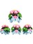 5-10CM Evcil Hayvan Figürleri Koleksiyonu Pikachu Mewtwo Mew Groudon Charizard Venusaur Blastoise Anime Figürleri Bebek Modeli Çocuk Oyuncak (Yurt Dışından) 5