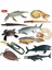 Oenux Tarih Öncesi Sealife Hayvanlar Köpekbalığı Balina Nautilus Modeli Aksiyon Figürleri Küçük Deniz Minyatür Pvc Sevimli Çocuk Oyuncakları (Yurt Dışından) 2