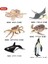 Oenux Tarih Öncesi Sealife Hayvanlar Köpekbalığı Balina Nautilus Modeli Aksiyon Figürleri Küçük Deniz Minyatür Pvc Sevimli Çocuk Oyuncakları (Yurt Dışından) 4