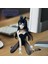 Yeşil Orman Sakurajima Mai Modeli Koleksiyon Japonya Anime Şekilli Kalıp Süsleme (Yurt Dışından) 5