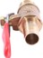 Bradoo- Erkek Dişi M/f Dişli 1/2 Inç Tam Bağlantı Noktalı Pirinç Su Küresel Vanası ve 10MM x 1/4 Inç Pt Erkek Dişli Pirinç Küresel Vana (Yurt Dışından) 2
