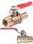 Bradoo- Erkek Dişi M/f Dişli 1/2 Inç Tam Bağlantı Noktalı Pirinç Su Küresel Vanası ve 10MM x 1/4 Inç Pt Erkek Dişli Pirinç Küresel Vana (Yurt Dışından) 5