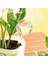 Adet Otomatik Sulama Cihazı Küre Tatil Houseplant Bitki Saksısı (Yurt Dışından) 4