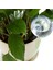 10 Adet Otomatik Sulama Cihazı Küre Tatil Houseplant Saksı Ampuller Bahçe Suluk Çiçek Su Damla Sulama (Yurt Dışından) 5