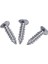Quanbu Paslanmaz Çelik Düz Başlı Phillips Başlı Vida 12MM x 3mm 60 Adet (Yurt Dışından) 1
